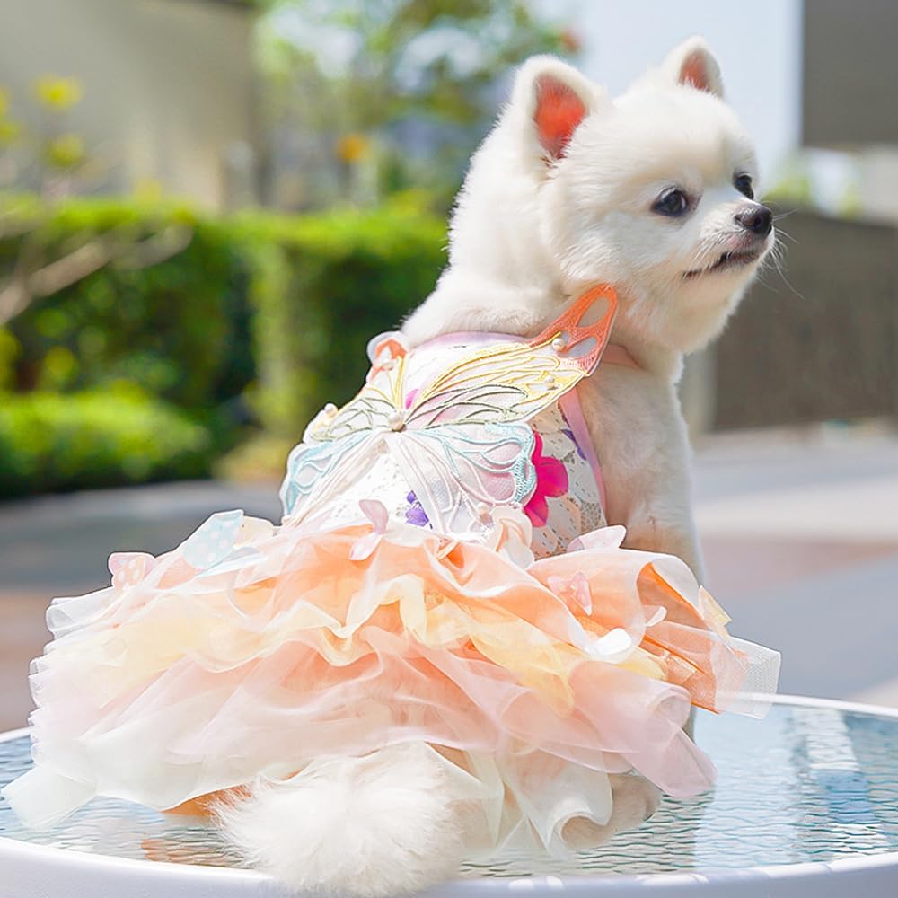 Rainbow Summer Butterfly Dog & Cat Dress