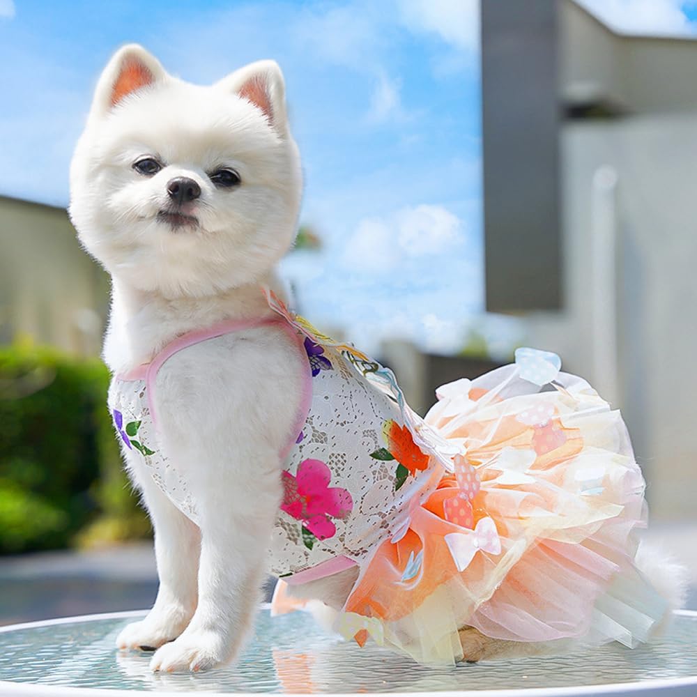 Rainbow Summer Butterfly Dog & Cat Dress