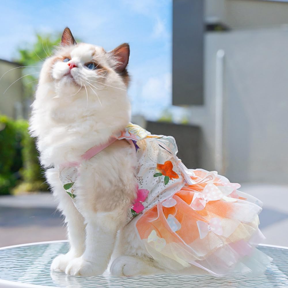 Rainbow Summer Butterfly Dog & Cat Dress