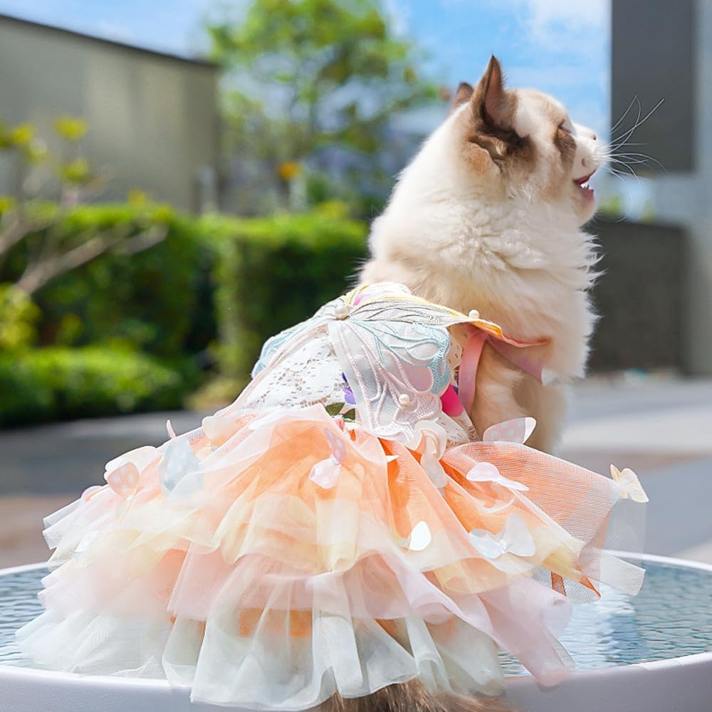 Rainbow Summer Butterfly Dog & Cat Dress