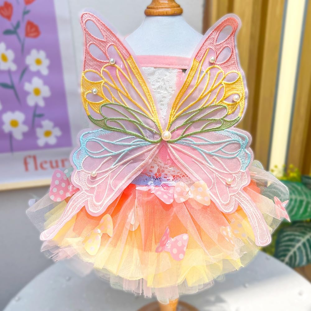Rainbow Summer Butterfly Dog & Cat Dress