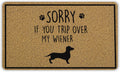 Funny Weiner Dog Welcome Mat - 18x30 Inch